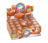 Bonbons au Caramel d'Argentine, Pack 576g avec 48 unités - Dulce de Leche La Vaca Lechera ARCOR, 576g