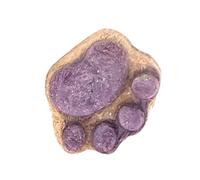 Bonbons pour chat en forme de patte - Snacks naturels tendres pour chats | Bonbons sains pour chatons, biscuits pour chats avec effet nettoyant, friandises savoureuses sans substances artificielles