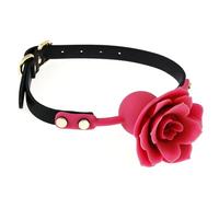 Bondage Masters Ball Gag Silicone, Bâillon buccal de qualité BDSM