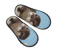 BONDIJ Pantoufles mignonnes à imprimé loutre - Confortables - Chaudes - En peluche douce - Pour homme et femme, Noir , Taille unique
