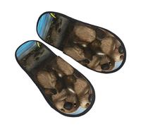 BONDIJ Pantoufles poilues pour femmes hommes belle loutre de mer imprimé pantoufles de rabots pantoufles d'hiver en peluche mignonnes pantoufles confortables toboggan intérieur, Noir, Medium