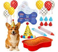 BoneItUp Boîte à friandises d'anniversaire pour chien - Biscuits et friandises à mâcher naturels pour chien avec chapeau d'anniversaire, jouet et bannière - Coffret cadeau pour chiens
