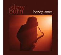 Boney James - Slow Burn [Compact Discs]