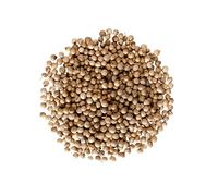 Bongiovanni Bontà Naturali Graines de Coriandre 500g Bio