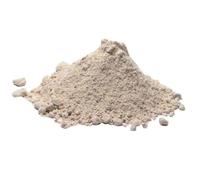 Bongiovanni Bontà Naturali Isolat de Protéine de Riz (Rice Iso Pro 80 GF) 400g