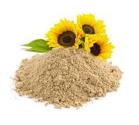 Bongiovanni Bontà Naturali Lécithine de tournesol en poudre 20Kg sans gluten