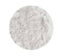 Bongiovanni Bontà Naturali Sirop d'Agave en poudre 5kg BIO