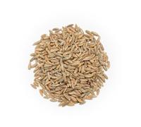 BONGIOVANNI FARINE E BONTA' NATURALI 1 kg de grains de seigle bio