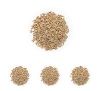 BONGIOVANNI FARINE E BONTA' NATURALI 1 kg de grains de seigle bio (Lot de 4)