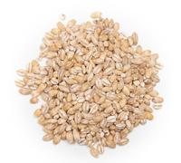 BONGIOVANNI FARINE E BONTA' NATURALI 1 kg d'orge perlé biologique