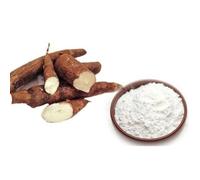 BONGIOVANNI FARINE E BONTA' NATURALI Amidon de Tapioca Résistant Type 4 SF90 1kg