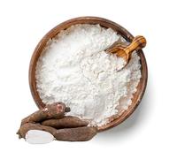 BONGIOVANNI FARINE E BONTA' NATURALI Farine de tapioca 25Kg sans gluten 25.00 kg