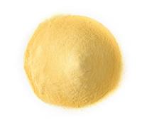 BONGIOVANNI FARINE E BONTA' NATURALI Poudre de mangue 100g