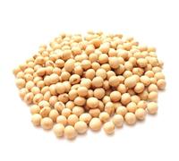 Bongiovanni Farine e bontà naturali Soja bio, 1 kg