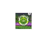 Bongzilla - Dab City (Neon Green Vinyl) [Import]