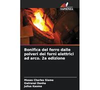 Bonifica del ferro dalle polveri dei forni elettrici ad arco. 2a edizione