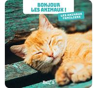 Bonjour les animaux : Les animaux familiers