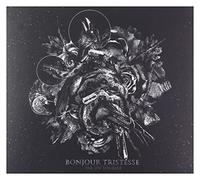 Bonjour Tristesse - par Un Sourire [Import]