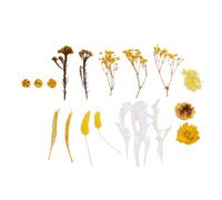 BONKZEBU Fournitures de Décoration pour la Maison Kit Polyvalent de Fabrication de Fleurs Séchées pour Noël, Mariages, Fêtes et Bureaux - 1 Boîte de Paquets de Fleurs Séchées pour la Décoration de