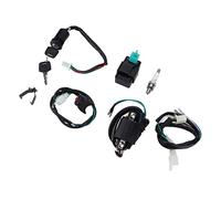 BONKZEBU Kit D'allumage avec Interrupteur D'arrêt pour Dirt Pit Bike ATV, Faisceau de Câbles de qualité Supérieure, Installation Simple, Compatible avec XRCRF 50 70 SDG SSR 110 CT70 ST70 Z50 Z50R,