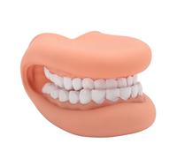 BONKZEBU Marionnette Buccale avec Langue, Modèle D'enseignement D'orthophonie en Silicone à 28 Dents pour L'éducation à L'hygiène Buccale des Enfants