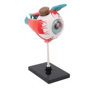 BONKZEBU Modèle D'oeil Humain, 16 Pièces Amovibles, Affichage éducatif, Matériel Supplémentaire pour la Physiologie et L'anatomie