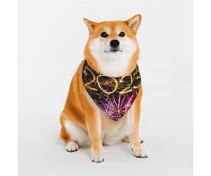 Bonne année 2023 Bandanas pour Chien, écharpe Triangulaire réversible pour garçon et Fille, Bandana pour Petits, Moyens, Grands et très Grands Chiens