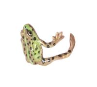 Bonnes De Grenouille À La Mode Anneaux Ouverts Ajustés Bijoux En Alliage Polonais Élevé Pour Hommes Et Femmes Ornement De Fête Élégante Anneau Mode