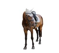 Bonnet anti-bruit pour cheval Kentucky Wellington Diamond Gris Full