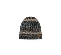 Bonnet Barts Akotan Gris TU