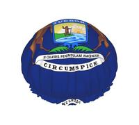 Bonnet de douche avec drapeau de l'État du Michigan pour femme, élastique et réutilisable, double couche imperméable, bonnet de douche pour le bain