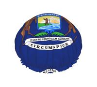 Bonnet de douche avec drapeau de l'État du Michigan pour femme, élastique et réutilisable, double couche imperméable, bonnet de douche pour le bain