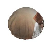 Bonnet de douche double couche élastique imperméable et réutilisable pour chien Basset Hound