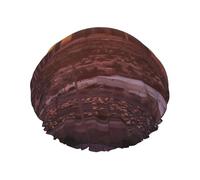 Bonnet de douche Las Vegas pour femme double couche épais réutilisable et imperméable avec bande élastique lavable pour homme et femme