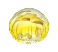 Bonnet de douche pour femme avec imprimé chips de pommes de terre, léger, réutilisable, doux, double couche, étanche, étanche.