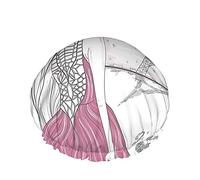 Bonnet de douche tour Eiffel et fille, fille parisienne romantique dessinée à la main dans une robe rose regarde la tour Eiffel Bonnets de bain double couche imperméables parfaits pour toutes les long
