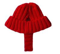 Bonnet d'hiver pour chien - 40 g - Couvre-chef d'hiver pour animal domestique - Trous d'oreille doux en acrylique rouge - Accessoire de chapeau pour chiot, housse chaude au crochet, design rouge en