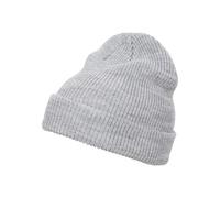 Flexfit Bonnet Gris Clair