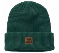 Bonnet Lost Lager II Beanie Columbia - Rain Forest universel