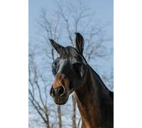 Bonnet pour cheval Equithème A-M.A.UV. Lycra Noir S