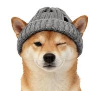 Bonnet pour Chien | avec Trous d'oreille - Bonnet d'hiver en Tricot Doux pour Chiot, de Petite Race, fête, Anniversaire, séance Photo, Camping, Maison, Voyage, Marche