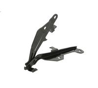 Bonnet related parts BLIC 6802-00-2589452P pour MUSTANG Coupé 5 2014-2023