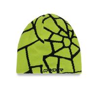 Spyder Reversible Web Beanie Vert
