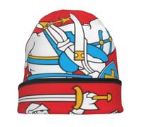 Bonnet Slouch avec République De Lituanieemblème National Classique Bonnet Dhiver Ample Taille Unique Foulard pour La Tête pour Quatre Saisons Skullcap