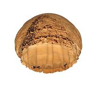 Bonnets de douche de bain réutilisables pour femmes cheveux longs pyramide de l'egypte antique imprimé Double couche chapeau de douche de bain imperméable