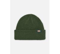 Bonnets Dickies Woodworth Waffle Beanie pour Accessoires T.U Vert