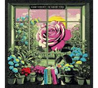Dobson, Bonnie – Dreams