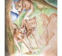 Bonnie Prince Bill - Wolf Of The Cosmos - Vinyl Record - E123z