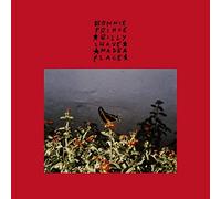 Bonnie Prince Billy - I Made A Place