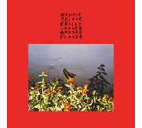 Bonnie Prince Billy - I Made a Place (Vinyl Color EDT.) [Import]